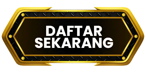 RAPI888 RAPI888